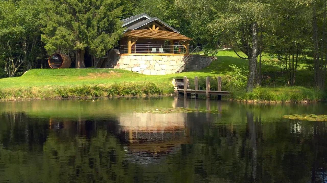 Gite L'Ilet Aux 2 Etangs Saint-Nabord Buitenkant foto